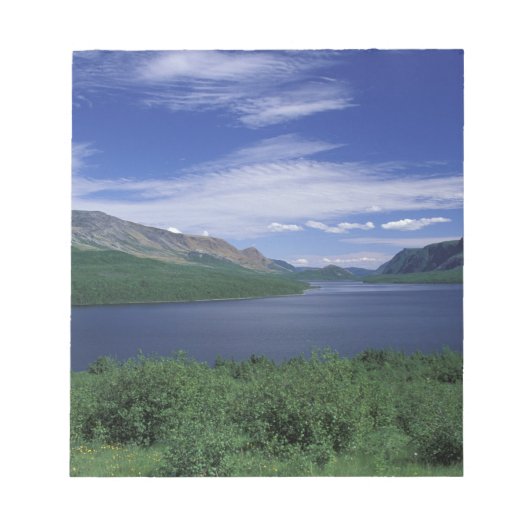 N.A., Canada, Newfoundland, Grose Morne Forel Notitieblok (Voorkant)