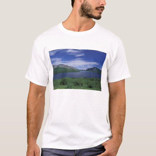 N.A., Canada, Newfoundland, Grose Morne Forel T-shirt (Voorkant)