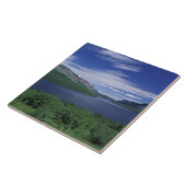 N.A., Canada, Newfoundland, Grose Morne Forel Tegeltje (Zijkant)