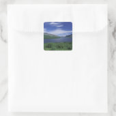 N.A., Canada, Newfoundland, Grose Morne Forel Vierkante Sticker (Tas)