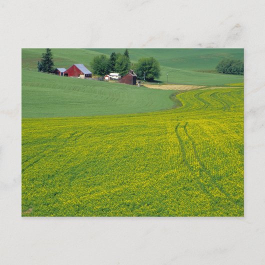 N.A., USA, Idaho, Latah County, bij Genesee. Briefkaart (Voorkant)
