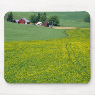 N.A., USA, Idaho, Latah County, bij Genesee. Muismat