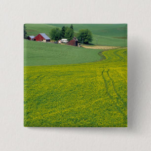 N.A., USA, Idaho, Latah County, bij Genesee. Vierkante Button 5,1 Cm