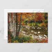 N.A., USA, New Hampshire, White Mountains Briefkaart (Voorkant / Achterkant)