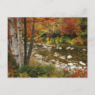 N.A., USA, New Hampshire, White Mountains Briefkaart