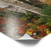 N.A., USA, New Hampshire, White Mountains Foto Afdruk (Hoek)