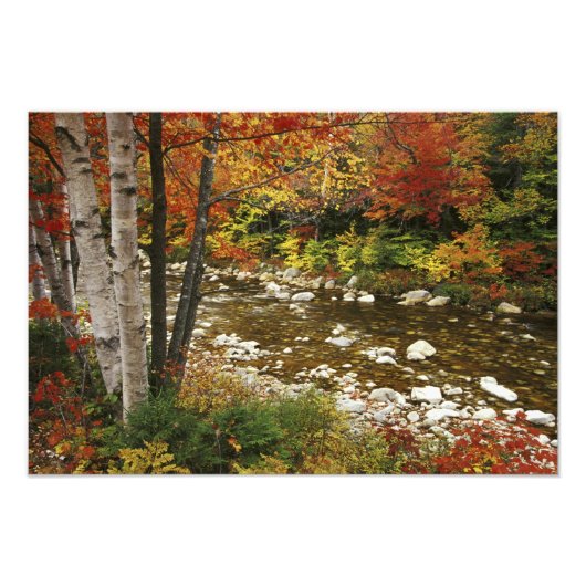 N.A., USA, New Hampshire, White Mountains Foto Afdruk (Voorkant)