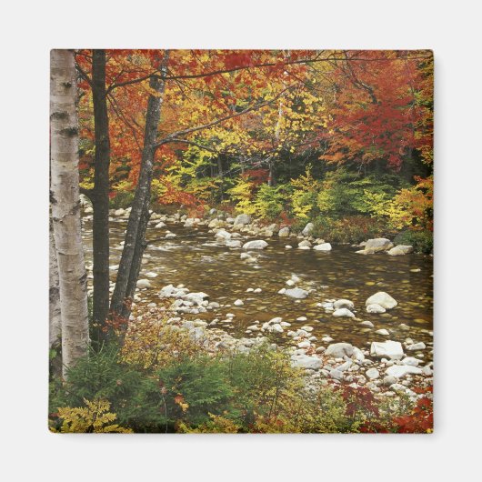 N.A., USA, New Hampshire, White Mountains Magneet (Voorkant)