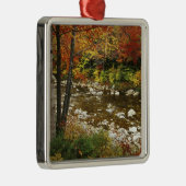 N.A., USA, New Hampshire, White Mountains Metalen Ornament (Rechts)