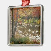 N.A., USA, New Hampshire, White Mountains Metalen Ornament (Links)
