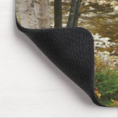 N.A., USA, New Hampshire, White Mountains Muismat (Hoek)