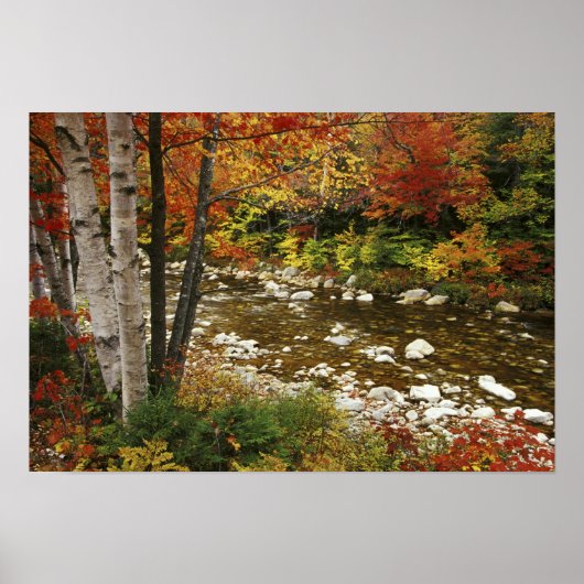 N.A., USA, New Hampshire, White Mountains Poster (Voorkant)