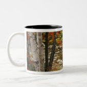 N.A., USA, New Hampshire, White Mountains Tweekleurige Koffiemok (Links)
