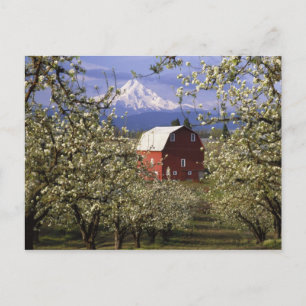 N.A., USA, Oregon, Hood River County. Red Briefkaart