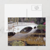 N.A., USA, South Carolina, Charleston. Magnolia Briefkaart (Voorkant / Achterkant)