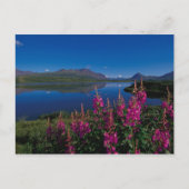 N.A., Verenigde Staten, Alaska, Alaska Range Commo Briefkaart (Voorkant)