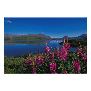 N.A., Verenigde Staten, Alaska, Alaska Range Commo Foto Afdruk