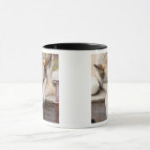 N.A., Verenigde Staten, Alaska. Husky sledehonden Mok (Midden)