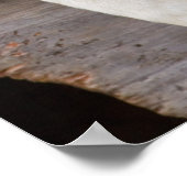 N.A., Verenigde Staten, Alaska. Husky sledehonden Poster (Hoek)