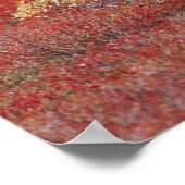 N.A., Verenigde Staten, Alaska, Nationaal Park Den Poster (Hoek)