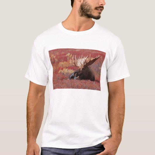 N.A., Verenigde Staten, Alaska, Nationaal Park Den T-shirt (Voorkant)