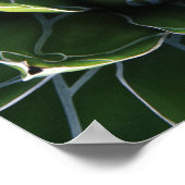 N.A., Verenigde Staten, Arizona, Tucson, Sonora De Poster (Hoek)