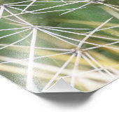 N.A., Verenigde Staten, AZ, Phoenix, Dert Botanica Foto Afdruk (Hoek)