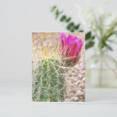 N.A., Verenigde Staten, AZ, Phoenix, woestijnfless Briefkaart (Staand voorkant)