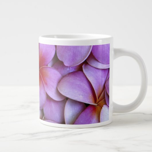 N.A., Verenigde Staten, Maui, Hawaii. Roze Plumeri Grote Koffiekop (Rechts)