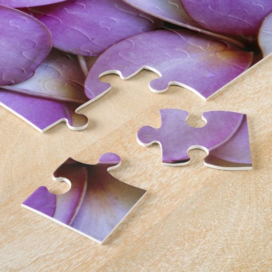 N.A., Verenigde Staten, Maui, Hawaii. Roze Plumeri Legpuzzel (Zijkant)