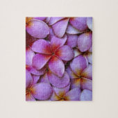 N.A., Verenigde Staten, Maui, Hawaii. Roze Plumeri Legpuzzel (Verticaal)
