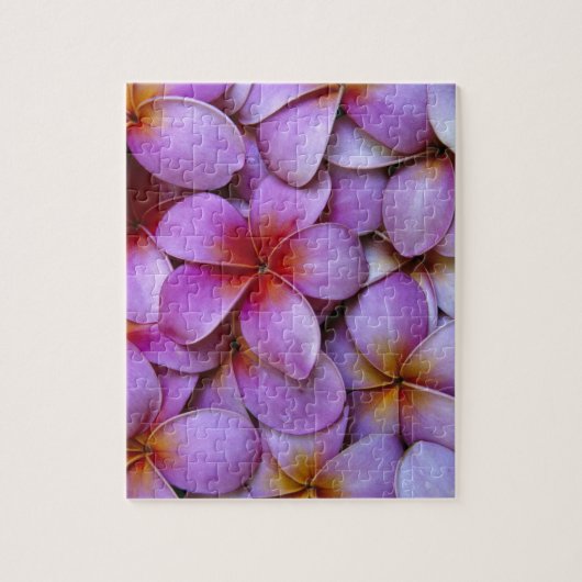 N.A., Verenigde Staten, Maui, Hawaii. Roze Plumeri Legpuzzel (Verticaal)