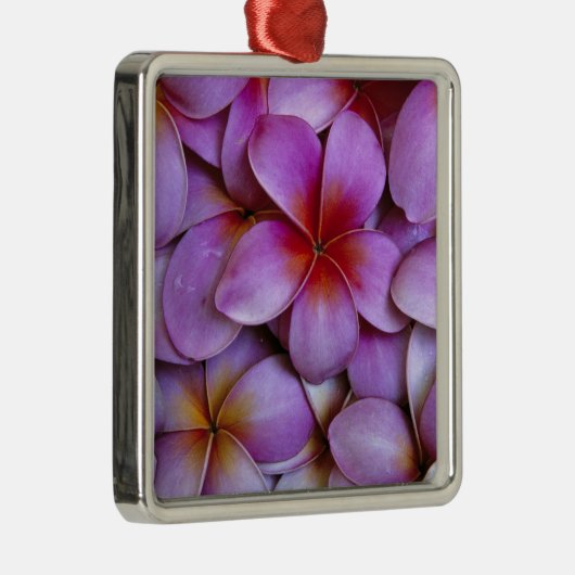 N.A., Verenigde Staten, Maui, Hawaii. Roze Plumeri Metalen Ornament (Rechts)