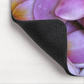 N.A., Verenigde Staten, Maui, Hawaii. Roze Plumeri Muismat (Hoek)