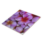 N.A., Verenigde Staten, Maui, Hawaii. Roze Plumeri Tegeltje (Zijkant)