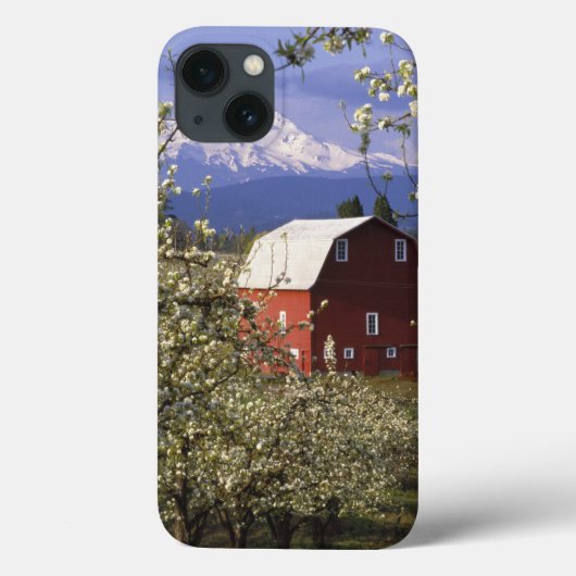 N.A., Verenigde Staten, Oregon, Hood River County. Case-Mate iPhone Case (Achterkant)