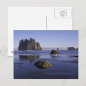 N.A., Verenigde Staten, Washington, Nationaal Park Briefkaart (Voorkant / Achterkant)