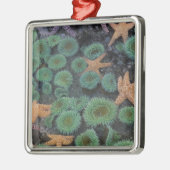 N.A., Verenigde Staten, Washington, Olympic Nation Metalen Ornament (Links)