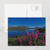 N.A., VS, Alaska, Alaska Range Common Briefkaart (Voorkant / Achterkant)