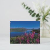 N.A., VS, Alaska, Alaska Range Common Briefkaart (Staand voorkant)