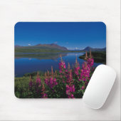 N.A., VS, Alaska, Alaska Range Common Muismat (Met muis)