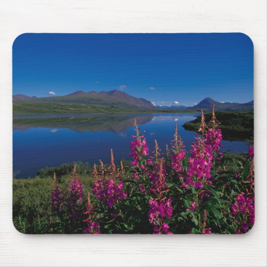 N.A., VS, Alaska, Alaska Range Common Muismat (Voorkant)