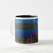 N.A., VS, Alaska, Alaska Range Common Tweekleurige Koffiemok (Voorkant links)