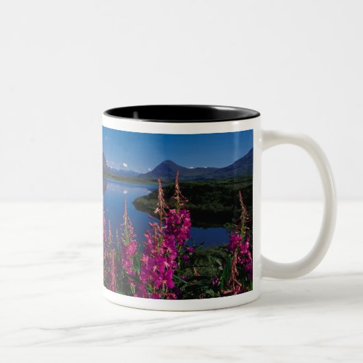N.A., VS, Alaska, Alaska Range Common Tweekleurige Koffiemok (Rechts)
