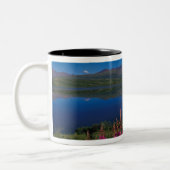 N.A., VS, Alaska, Alaska Range Common Tweekleurige Koffiemok (Links)