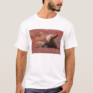 N.A., VS, Alaska, Denali National Park, Bull T-shirt
