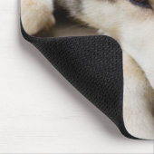 N.A., VS, Alaska. Husky slee-honden Muismat (Hoek)