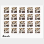 N.A., VS, Alaska. Husky slee-honden Vierkante Sticker (Vel)