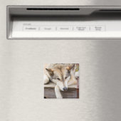 N.A., VS, Alaska. Husky sleeën honden Magneet (Insitu (Vaatwasser))