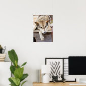 N.A., VS, Alaska. Husky sleehonden Poster (Thuiskantoor)